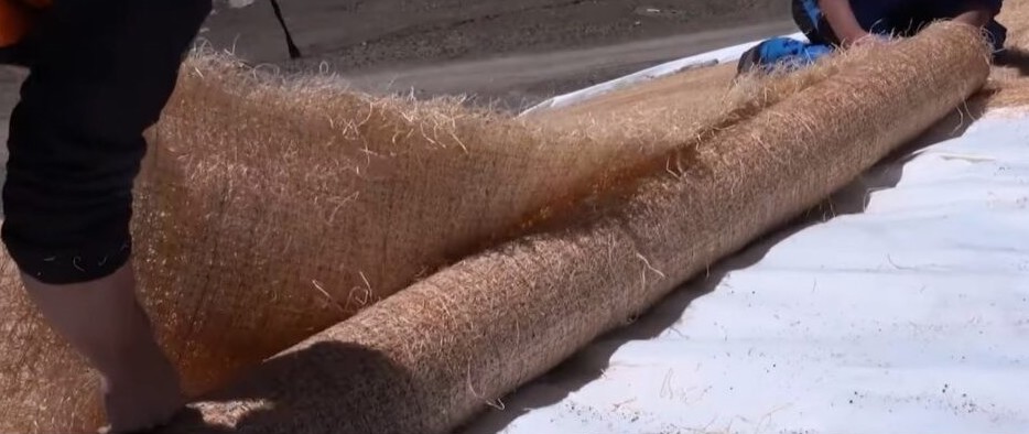 Laine Bois Snowfarming