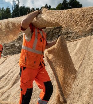 Transport Laine Bois