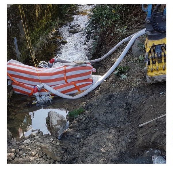 Travaux Hydrauliques Fascines